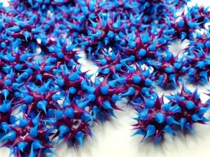 Cuentas de goma azul y púrpura de 8 mm - Juego de 10 - Imagen 1 de 4