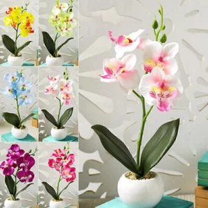 Artificial Butterfly Orchid Flower Plants in Pot Fake Home Wedding Party Decor - Picture 1 of 17