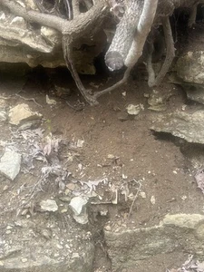 Pay dirt Unsearched, Gold, Calcite, Ruby, Gemstones And Fossils. - Picture 1 of 15