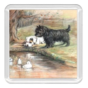 Cairn & Sealyham Terrier Dog Acrylic Coaster Novelty Drink Cup Mat Great Gift - Picture 1 of 1