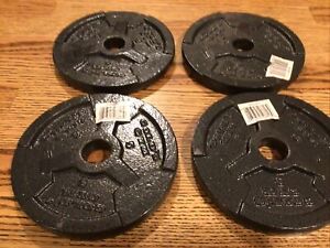 Gold's Gym Weight Plate Cast Iron (4) 5 Lb. Each = 20 Lb.