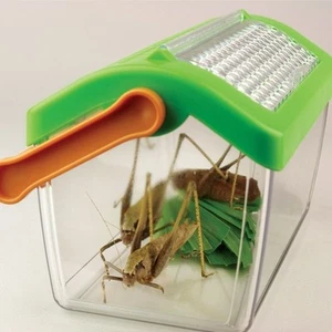 Insektenhaus Insektenbox mit Belüftung Insektenbetrachter Mini Terrarium - Bild 1 von 5
