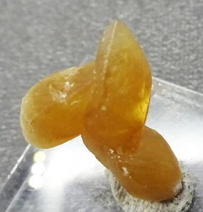 Doppelt terminierte Honig Calcit Kristalle, Indien - Mineralienprobe zu verkaufen - Bild 1 von 6