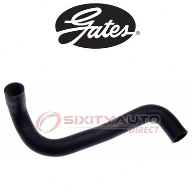 Gates Lower Radiator Coolant Hose for 1974-1976 Mercedes-Benz 230 2.3L L4 - bw - Image 1 of 4