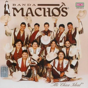 Banda Machos ~ Mi Chica Ideal (Audio CD) - Bild 1 von 1