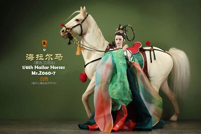 1/6 Mr.z Hailar Sanhe Horse Animal Figure Soldier Accessory Scene GK Decor toys - Image 1 of 4