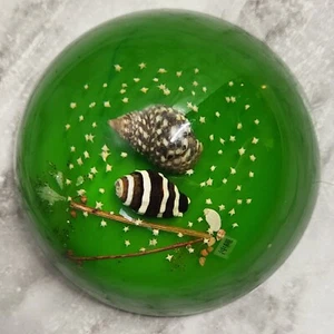 Vintage Paperweight. Seashells. Mini Starfish. Asian. Green. Plastic. Round. - Picture 1 of 10