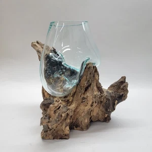 Geschmolzenes mundgeblasenes Glas auf Teak Treibholz Schale Blasenvase Terrarium Pflanzgefäß groß - Bild 1 von 24