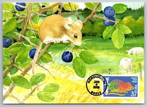 3895a Chinese Lunar New Year Rat FDC Maxi Card - Picture 1 of 2