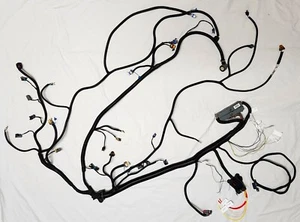 LS Harness Drive By Wire Standalone 4L60E A/C EV6 4.8 5.3 6.0 Blue/Green ECM DBW - Picture 1 of 13