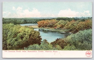 Charles River vom Norumbega Tower Newton Massachusetts MA 1906 Postkarte - Bild 1 von 2