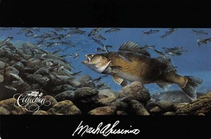 Panic Walleye By Mark Susinno Wild Wings Vtg Art Advertising Postcard - Picture 1 of 2