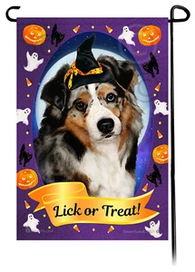 Halloween Garden Flag -Blue Merle Australian Shepherd - Picture 1 of 1
