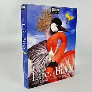 The Life of Birds David Attenborough DVD 3-Disc Set BBC *Fully Tested* - Bild 1 von 10