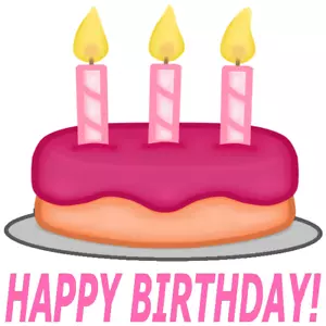 30 Custom Happy Birthday Pink Cake Personalized Address Labels - Picture 1 of 1