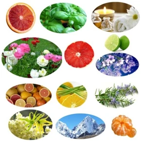 ESSENTIAL OILS Best Quality Pure, Skin Safe, Perfume, Soaps, Melts, Aromatherapy - Picture 1 of 27