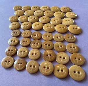 48 Vintage Vegetable Ivory Buttons with Carved Anchor Design, 2 different sizes - Picture 1 of 3