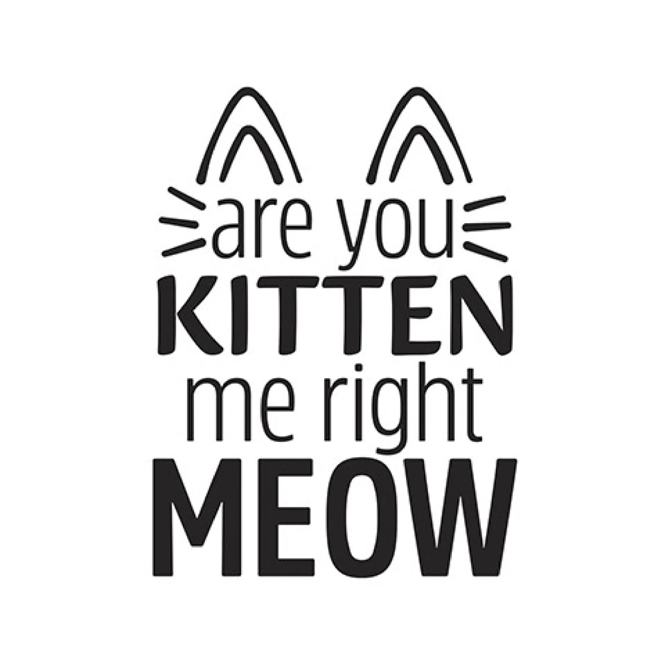 #386 Carpeta de grabación en relieve Darice Essentials ARE YOU GATITO ME RIGHT MAULLIDO # 30094097 Foto 1 de 1