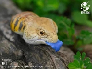 【En stock】Estatua de piel azul de cuerpo celestial animal Tiliqua Scincoides lengua azul - Imagen 1 de 7