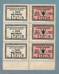 FI1753 Marche Amministrative Università di Napoli - Imagen 1 de 1