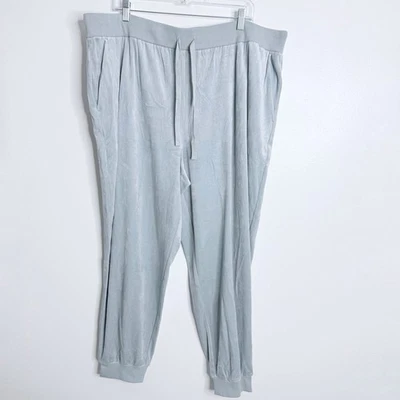 NWOT Eileen Fisher Cozy Velour Knit Jogger Pant In Frost Blue Size 2X - Image 1 of 4