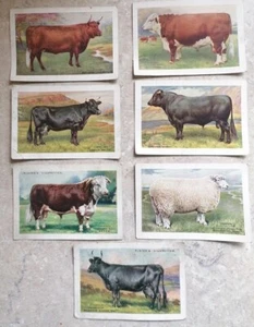 CIGARETTE CARDS BRITISH LIVESTOCK / PEDIGREE JP - CLICK the one you want to BUY - Picture 1 of 22