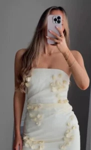 ZARA SS24 ECRU FLORAL ORGANZA DRESS NEW SIZE SMALL 0881/329 RARE BLOGGERS - Picture 1 of 5