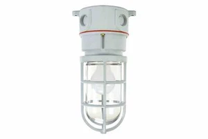 Class 1 Division 2 Chemical Resistant Incandescent Light - 75 Watts - Picture 1 of 1