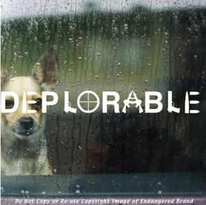 Pegatina Trump Deplorable Pantano de Drenaje Gran Pared Política Republicana EE. UU. - Imagen 1 de 12