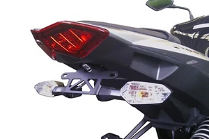 Kawasaki Z1000 2010-2013 y Ninja 1000 11+ eliminador de guardabarros cola ordenada SX - Imagen 1 de 8