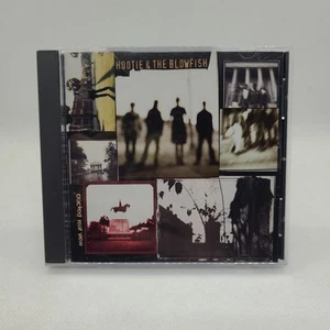 Cracked Rear View by Hootie & Blowfish CD 2019 - Picture 1 of 3