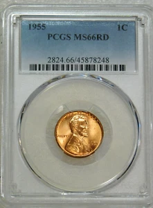 1955 P Lincoln Weizencent PCGS MS66RD hellrot hervorragender Glanz PQ #C735T - Bild 1 von 4
