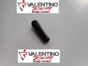 VITE POMELLO REGOLAZIONE FARO ANTERIORE APRILIA AF1 25 1987 AP8225161 - Imagen 1 de 1