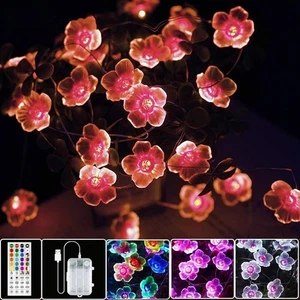 Catena Luminosa 4M LED Fiori con 40 LED e Doppia Alimentazione, Decorazione Festiva - Foto 1 di 10