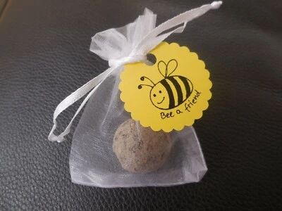 Gastgeschenk Hochzeit Geburtstag 10 Seedbombs Seedballs Samenbombe Mitgebsel bee - Bild 1 von 3