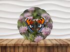 Kolorowy motyl przędzarka, prezent dla miłośnika przyrody