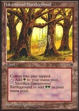 MTG magic cards 2x x2 Light Play, English Havenwood Battleground Fallen Empires