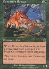 4 Penumbra Bobcat - LP - Apocalypse - mtg - x4 4x