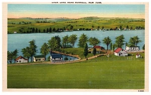 Vintage Loon lake, Hornel, New Yor Postcard. Unposted. BPC - Picture 1 of 2