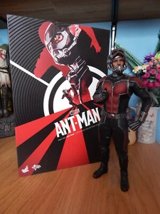 Ant Man 1/6 figure by Hot Toys - Picture 1 of 5
