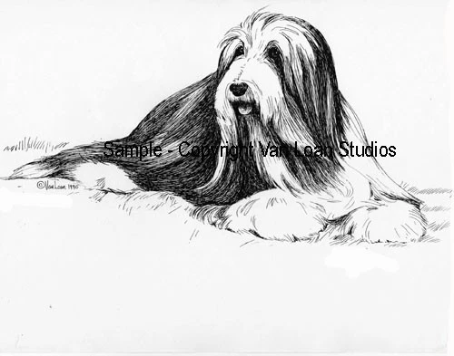 Бородатый колли Марта Ван Лоан LImited издание подписанный пронумерованный - Изображение 1 из 1