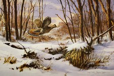 James Killen Fresh Snow - Ruffed Grouse