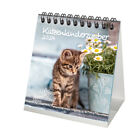 Katzenkinderzauber Kalender für 2024 Format 10cm x 10cm Katzenkinder Katzenbabys