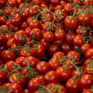 Tomato Seeds, Large Red Cherry Heirloom, Non-GMO, Juicy & Sweet, Free Shipping - Picture 1 of 2