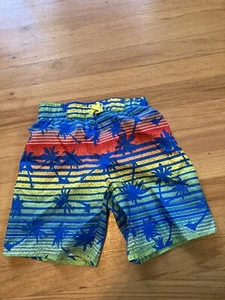 Highland Outfitters Boys Swim Trunks Kids Swimming Shorts Sz 5-6 - Picture 1 of 4