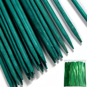 50 PCS 18" Plant Sticks Support,Green Bamboo Sticks,Garden Wood Plant Stakes,Flo - Picture 1 of 12