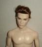 NUDE Twilight Vampire EDWARD Ken doll Model Muse Rooted Hair, COA +stand