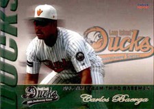 2009 Long Island Ducks 10th Anniv Choice 5 Carlos Baerga San Juan Puerto Rico PR