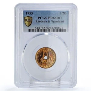 Rhodesia Nyasaland 1/2 penny Regular Coinage Giraffes PR66 PCGS bronze coin 1955 - Picture 1 of 3