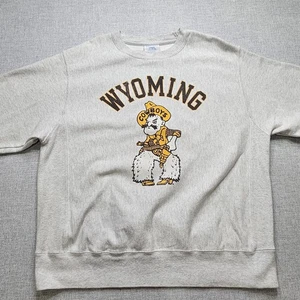 Champion Tejido Inverso Wyoming Vaqueros Sudadera Para Hombre Grande Gris - Imagen 1 de 11